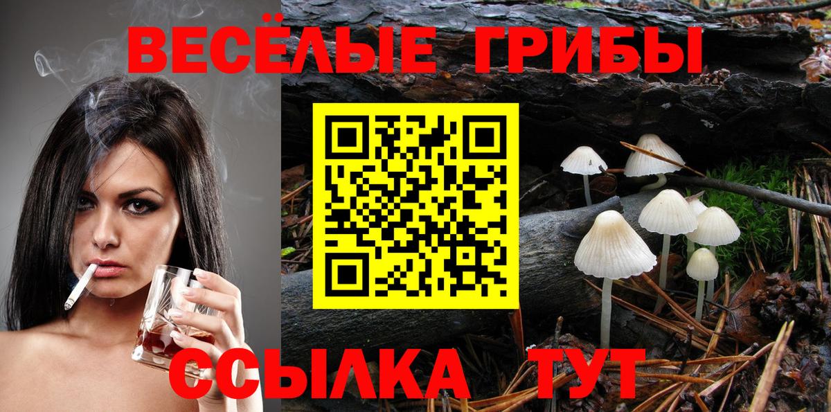 Галлюциногенные грибы прущие грибы Грязи