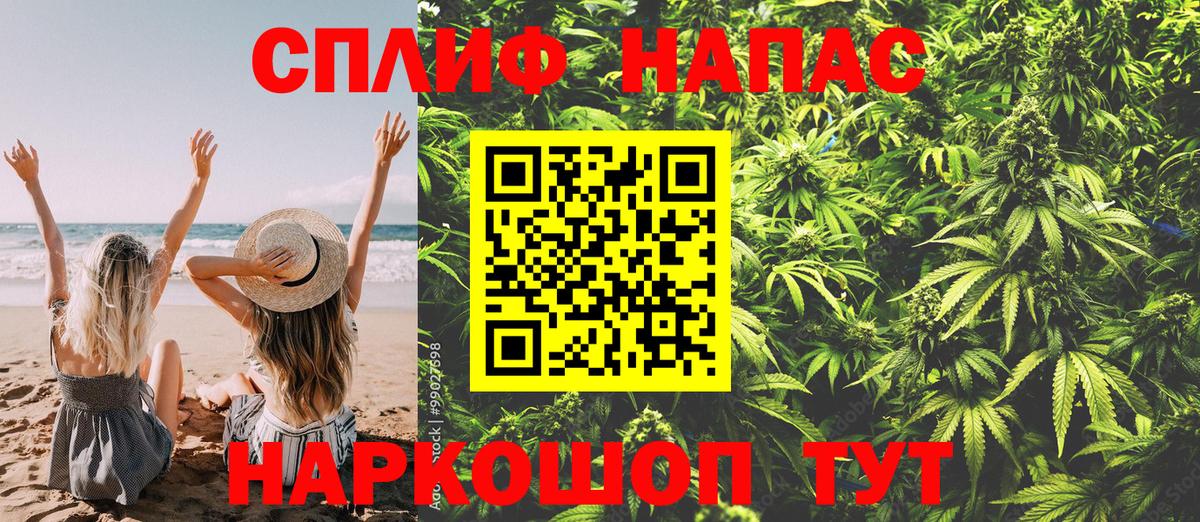 Бошки марихуана индика  Вход с VPN  Грязи  Каннабис планчик 